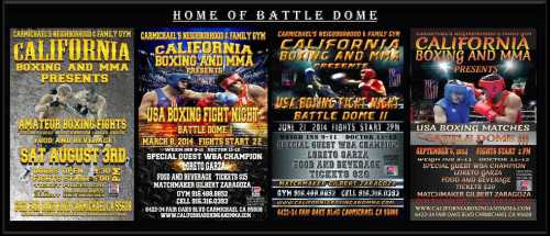 BattleDomeWeb1
